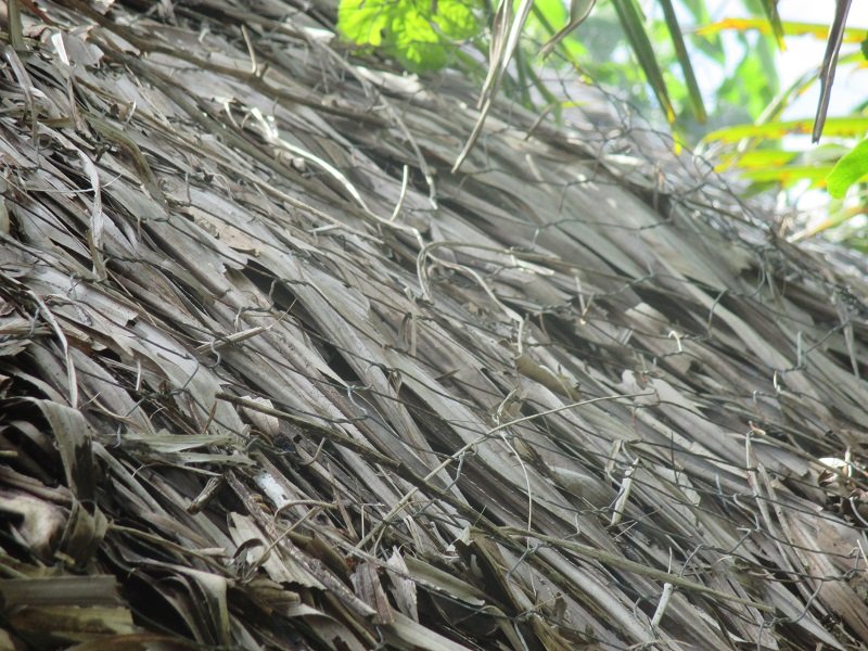 Wire to hold thatch during cyclones