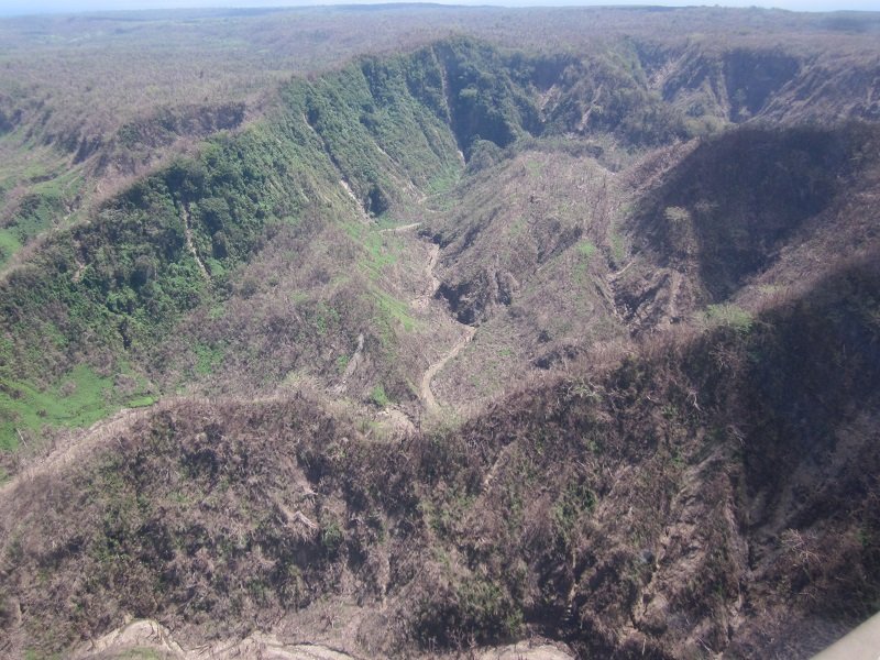 Damage to bush outside Port Vila