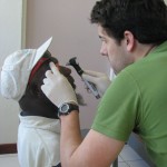 Dr Shaun examining patient's eye at Lamap mini-Hospital